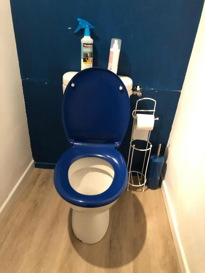 T2 Atypique Au Centre Apartment Cauterets 0*,  France